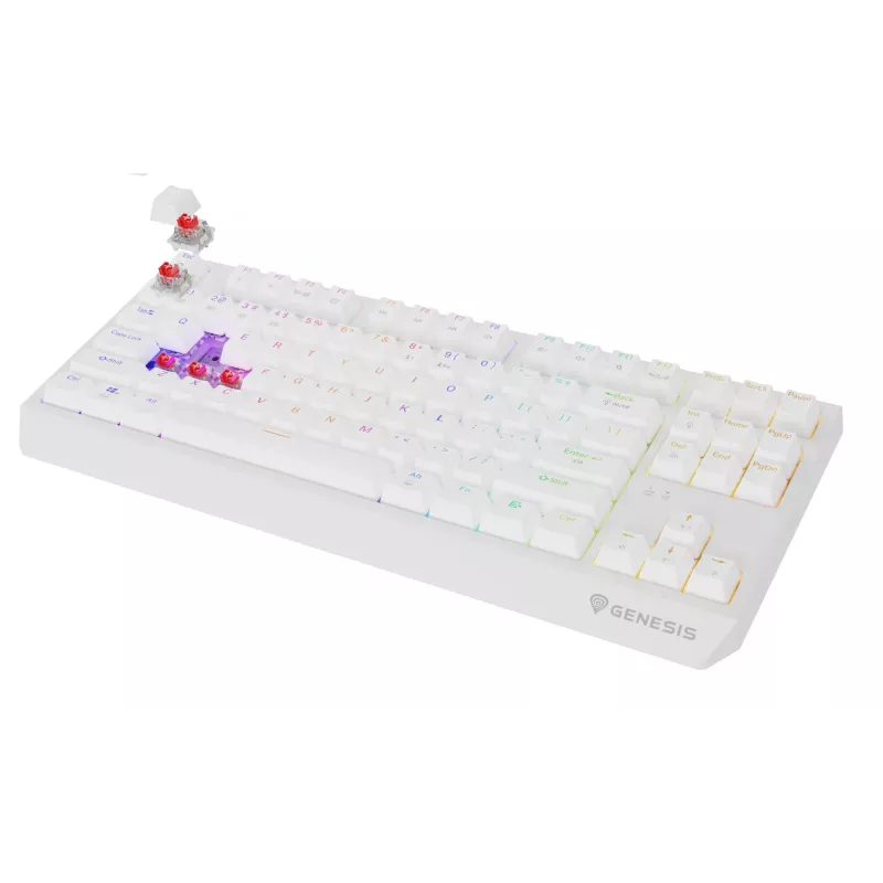 Tenkeyless-pelikäppäimistö GENESIS Thor 230 TKL — USB, RF Wireless, Bluetooth, QWERTY, valkoinen