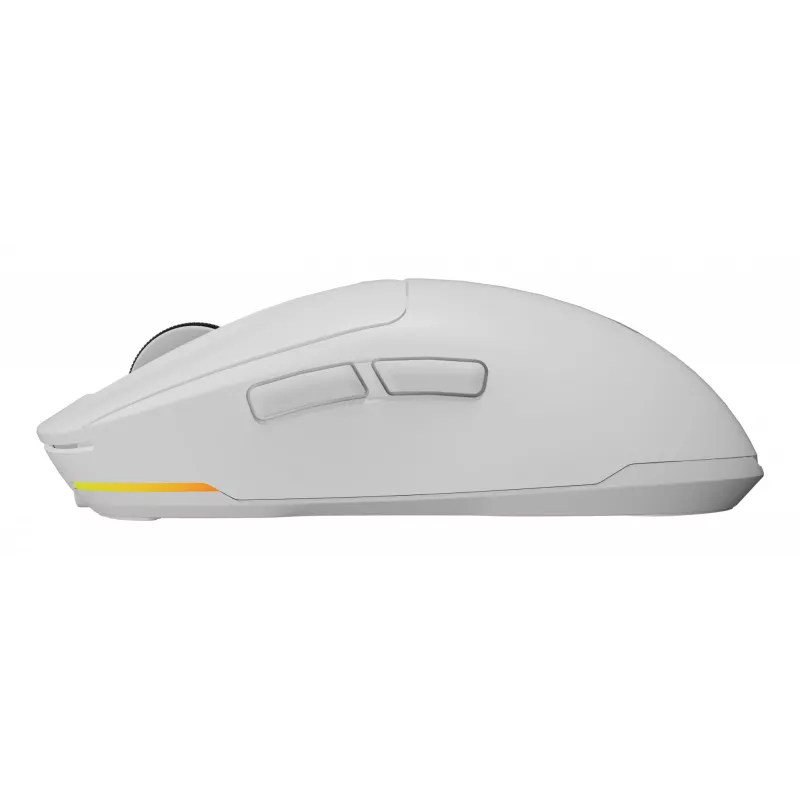 GENESIS NMG-2194 hiiri pelikäyttöön molempikätinen Bluetooth + USB Type-C optinen 26000 DPI