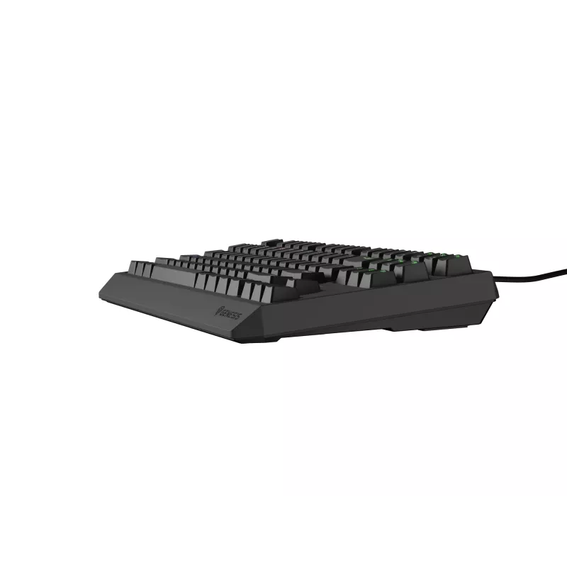 Genesis Thor 230 TKL langallinen mekaaninen pelinäppäimistö, US, musta, Outemu Red