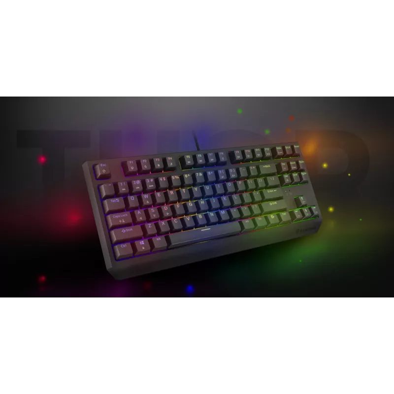 Genesis Thor 230 TKL langallinen mekaaninen pelinäppäimistö, US, musta, Outemu Red