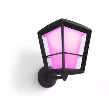 Älykäs seinävalaisin Philips Hue White and Colour Ambience Econic ulkoseinävalaisin