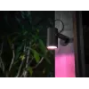 Philips Hue White and Colour Ambience Lily ulkovalaisin