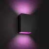 Philips Hue White and colour ambience Resonate Outdoor seinävalaisin