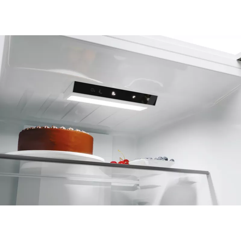 Candy ECN2CQTEX186 vapaasti seisova 355 L ruostumaton teräs