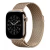 APPLE 42 mm kultainen Milanese-ranneke
