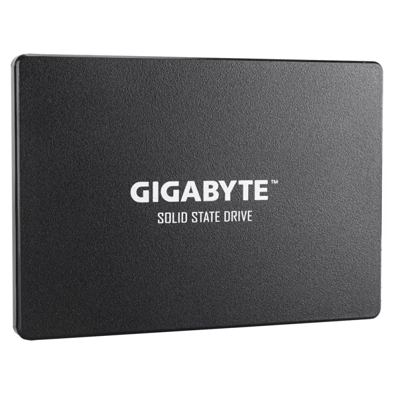 GIGABYTE GP-GSTFS31256GTND sisäinen SSD-levy 256 GB 2,5