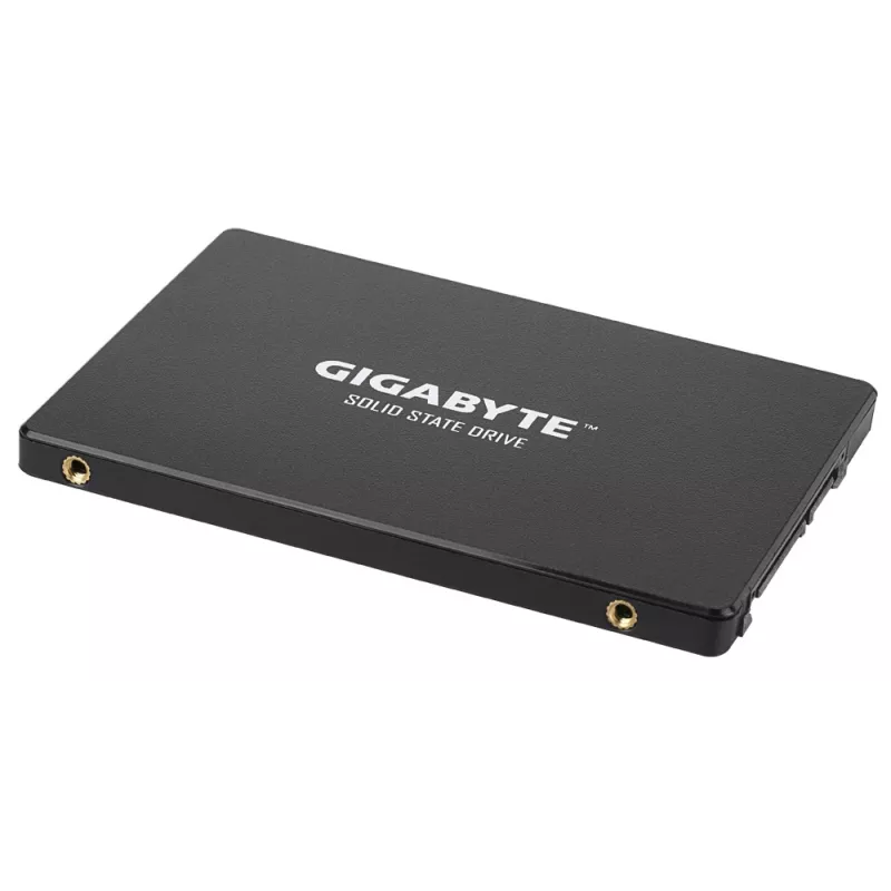 GIGABYTE GP-GSTFS31256GTND sisäinen SSD-levy 256 GB 2,5