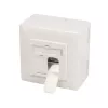 Verkkopistorasia 2 x RJ-45 LogiLink NP0124