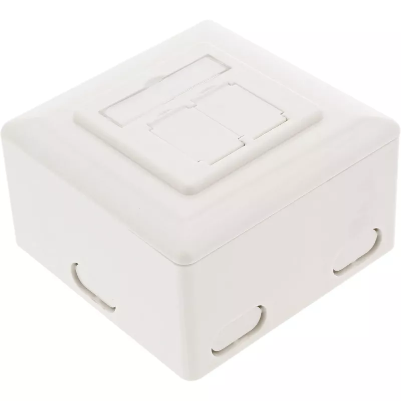 Seinäliitäntärasia InLine Cat.6 2x RJ45 vaakasuora — pinta- tai uppoasennus