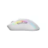 Glorious Gaming Glorious Model D 2 Wireless - mattavalkoinen, oikeakätinen, RF Wireless, 19000 DPI, valkoinen