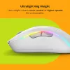 Glorious Gaming Glorious Model D 2 Wireless - mattavalkoinen, oikeakätinen, RF Wireless, 19000 DPI, valkoinen