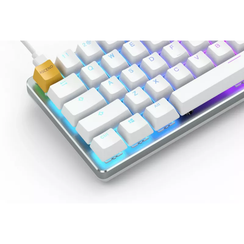 Glorious Gaming GMMK näppäimistö USB QWERTY US International hopea, valkoinen
