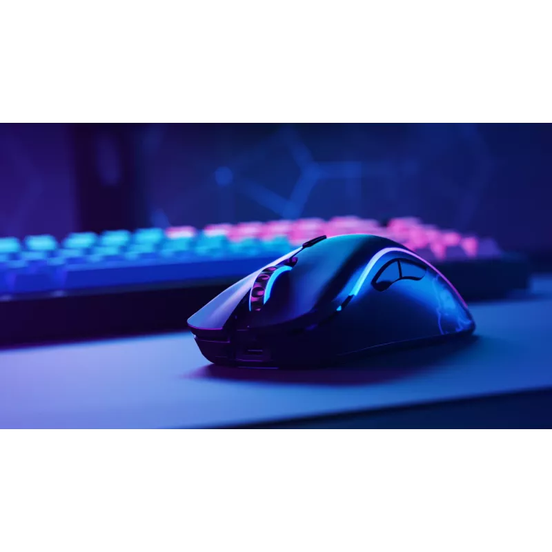 Glorious Gaming Glorious Model D Minus Wireless - mattamusta