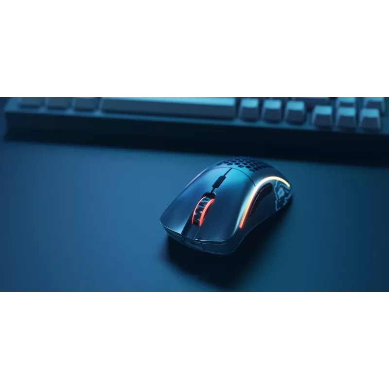 Glorious Gaming Glorious Model D Minus Wireless - mattamusta