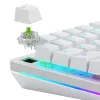 Glorious Gaming Glorious Raptor Clicky -mekaaniset kytkimet – 36 kpl
