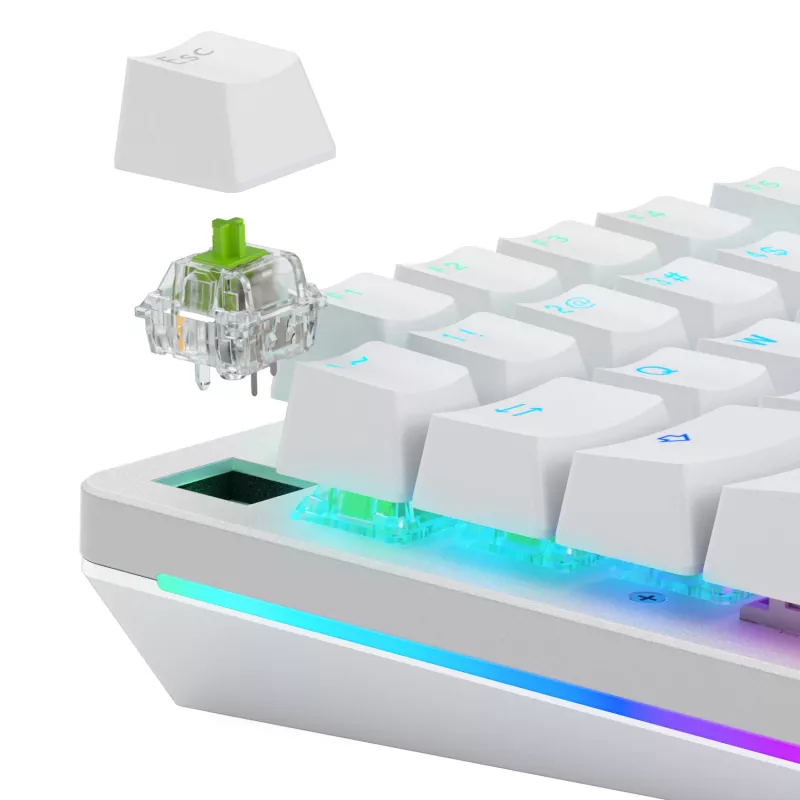Glorious Gaming Glorious Raptor Clicky -mekaaniset kytkimet – 36 kpl