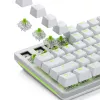 Glorious Gaming Glorious Raptor Clicky -mekaaniset kytkimet – 36 kpl
