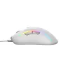 Glorious Gaming Glorious Model D 2 Wired - mattavalkoinen, oikeakätinen, optinen, USB Type-A, 26 000 DPI, valkoinen