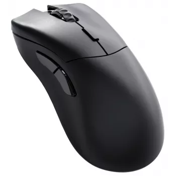 Glorious Gaming Glorious Model D 2 PRO Wireless - 4K/8K Polling - musta
