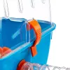 Häkki FERPLAST Combi 2 hamstereille, sininen läpinäkyvä, B795×T295×H263 mm, teknopolymeeri