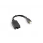 LANBERG DisplayPort-kaapeli Mini DisplayPort - 0,12 m musta