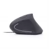 GEMBIRD optinen hiiri MUS-ERGO-01 - ergonominen, 6 painiketta, rulla, USB, musta