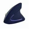 GEMBIRD optinen hiiri MUS-ERGO-01 - ergonominen, 6 painiketta, rulla, USB, musta