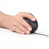 GEMBIRD optinen hiiri MUS-ERGO-01 - ergonominen, 6 painiketta, rulla, USB, musta