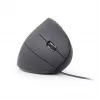 GEMBIRD optinen hiiri MUS-ERGO-01 - ergonominen, 6 painiketta, rulla, USB, musta