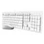 Trust Ody II näppäimistö ja hiiri sisältyvät Home/Office RF Wireless QWERTY US-englanti valkoinen