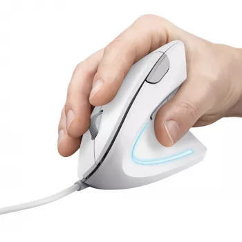 Trust Verto hiiri toimisto oikeakätinen USB Type-A optinen 1600 DPI