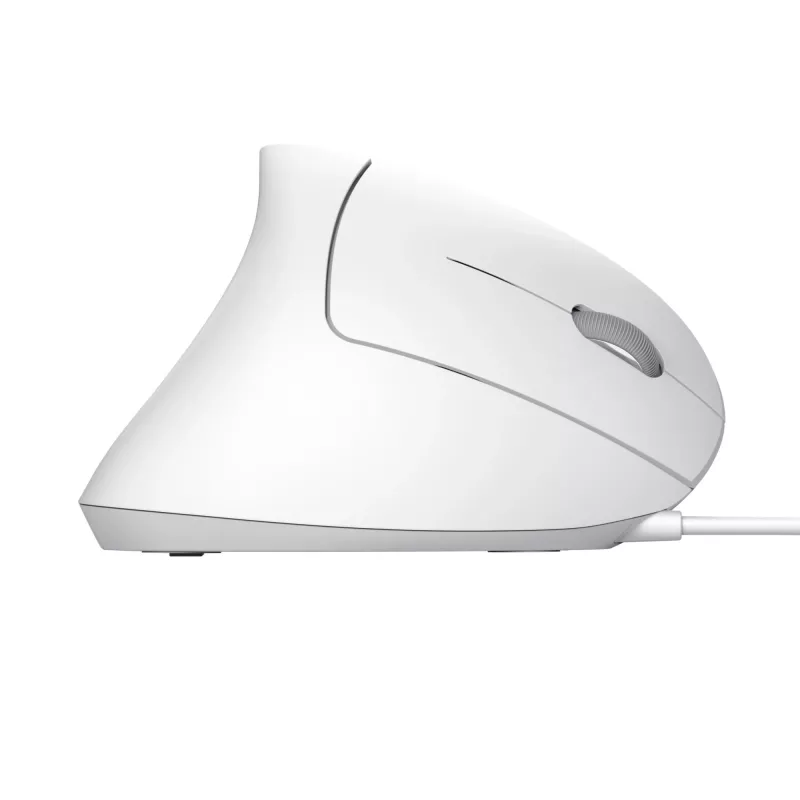 Trust Verto hiiri toimisto oikeakätinen USB Type-A optinen 1600 DPI