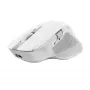 Trust Ozaa+ -hiiri, toimisto, oikeakätinen, RF Wireless + Bluetooth 24935