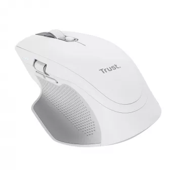 Trust Ozaa+ -hiiri, toimisto, oikeakätinen, RF Wireless + Bluetooth 24935