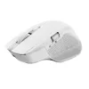 Trust Ozaa+ -hiiri, toimisto, oikeakätinen, RF Wireless + Bluetooth 24935
