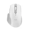 Trust Ozaa+ -hiiri, toimisto, oikeakätinen, RF Wireless + Bluetooth 24935