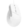 Trust Bayo II -hiiri toimisto oikeakätinen USB Type-A optinen 2400 DPI