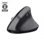 Trust Bayo+ -hiiri toimisto oikeakätinen RF Wireless + Bluetooth optinen 2400 DPI
