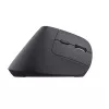 Trust Bayo+ -hiiri toimisto oikeakätinen RF Wireless + Bluetooth optinen 2400 DPI
