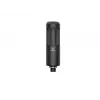 Dynaaminen broadcast-mikrofoni Beyerdynamic M 70 PRO X — johdollinen, puheeseen optimoitu taajuusvaste