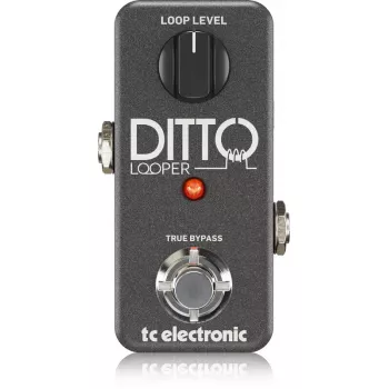 Looper TC Electronic Ditto Looper musta kitara