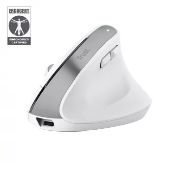 Trust Bayo+ hiiri toimisto oikeakätinen RF langaton + Bluetooth optinen 2400 DPI