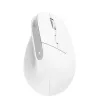 Trust Bayo+ hiiri toimisto oikeakätinen RF langaton + Bluetooth optinen 2400 DPI