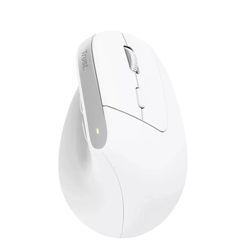 Trust Bayo+ hiiri toimisto oikeakätinen RF langaton + Bluetooth optinen 2400 DPI