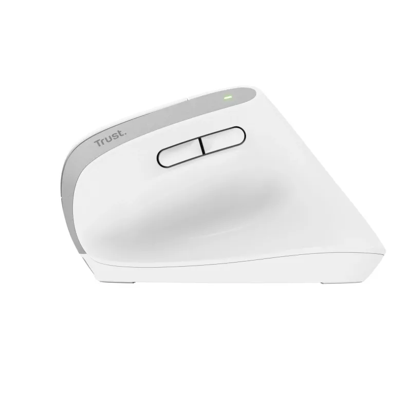 Trust Bayo+ hiiri toimisto oikeakätinen RF langaton + Bluetooth optinen 2400 DPI