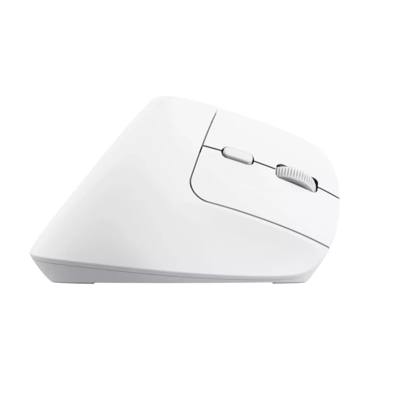 Trust Bayo+ hiiri toimisto oikeakätinen RF langaton + Bluetooth optinen 2400 DPI