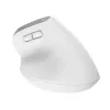 Trust Bayo+ hiiri toimisto oikeakätinen RF langaton + Bluetooth optinen 2400 DPI