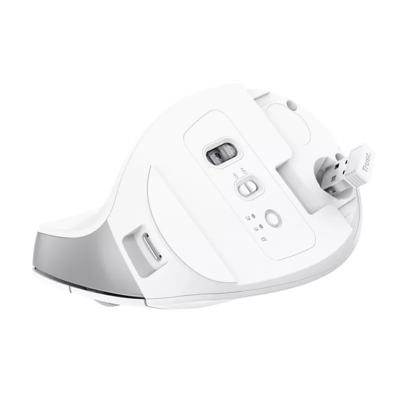 Trust Bayo+ hiiri toimisto oikeakätinen RF langaton + Bluetooth optinen 2400 DPI