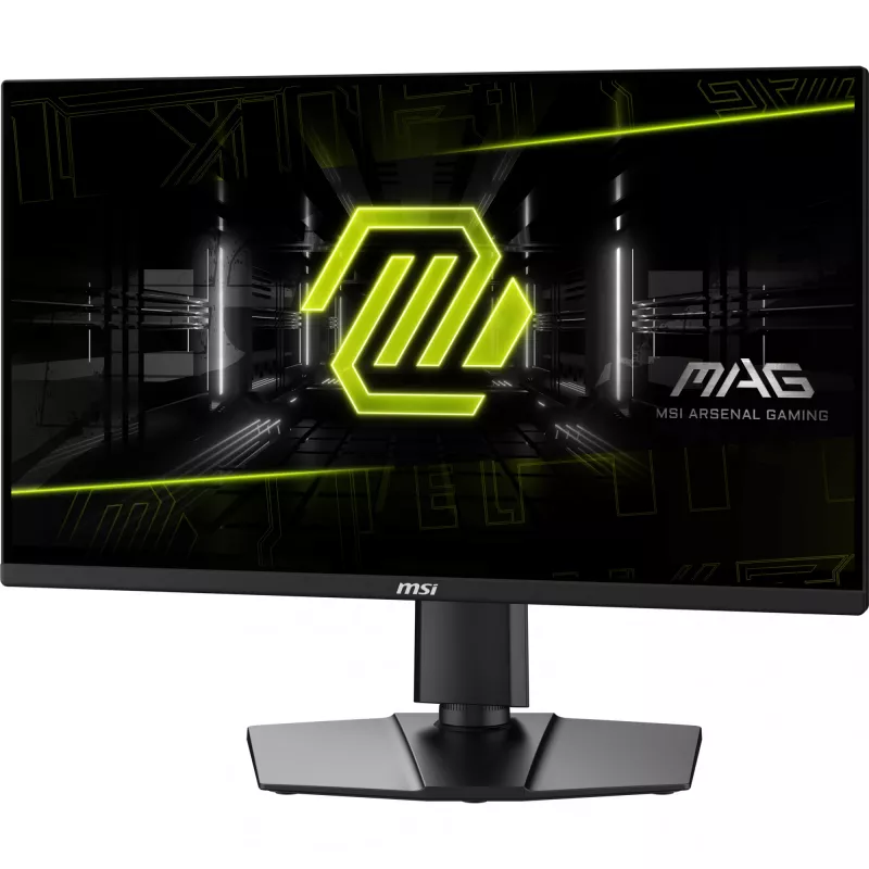 Näyttö MSI MAG 255PXF 24,5