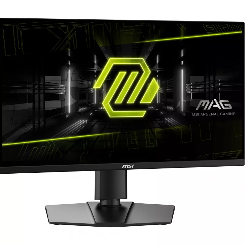 Näyttö MSI MAG 255PXF 24,5